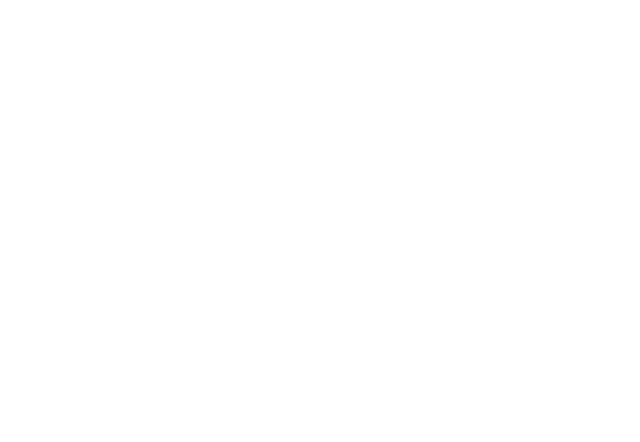 Marcopolo